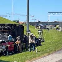 1 million bees make for bumper-to-buzzer traffic on a Tennessee highway ramp