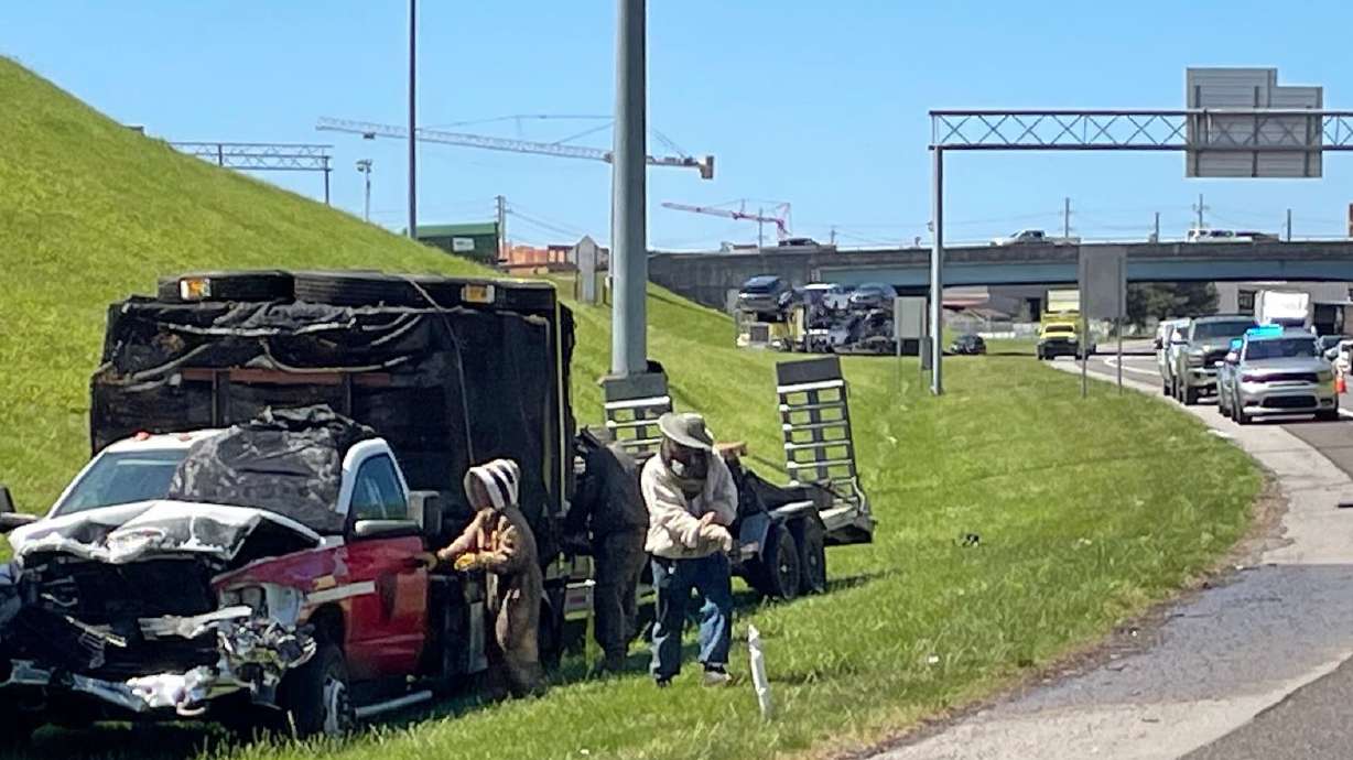 In this photo provided by the Tennessee Department of Transportation, beekeepers work to contain a swarm of bees that escaped from a crashed truck on Interstate 40 in Knoxville, Tenn., on Friday. Over 1 million bees had to be contained.