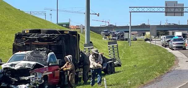 1 million bees make for bumper-to-buzzer traffic on a Tennessee highway ramp
