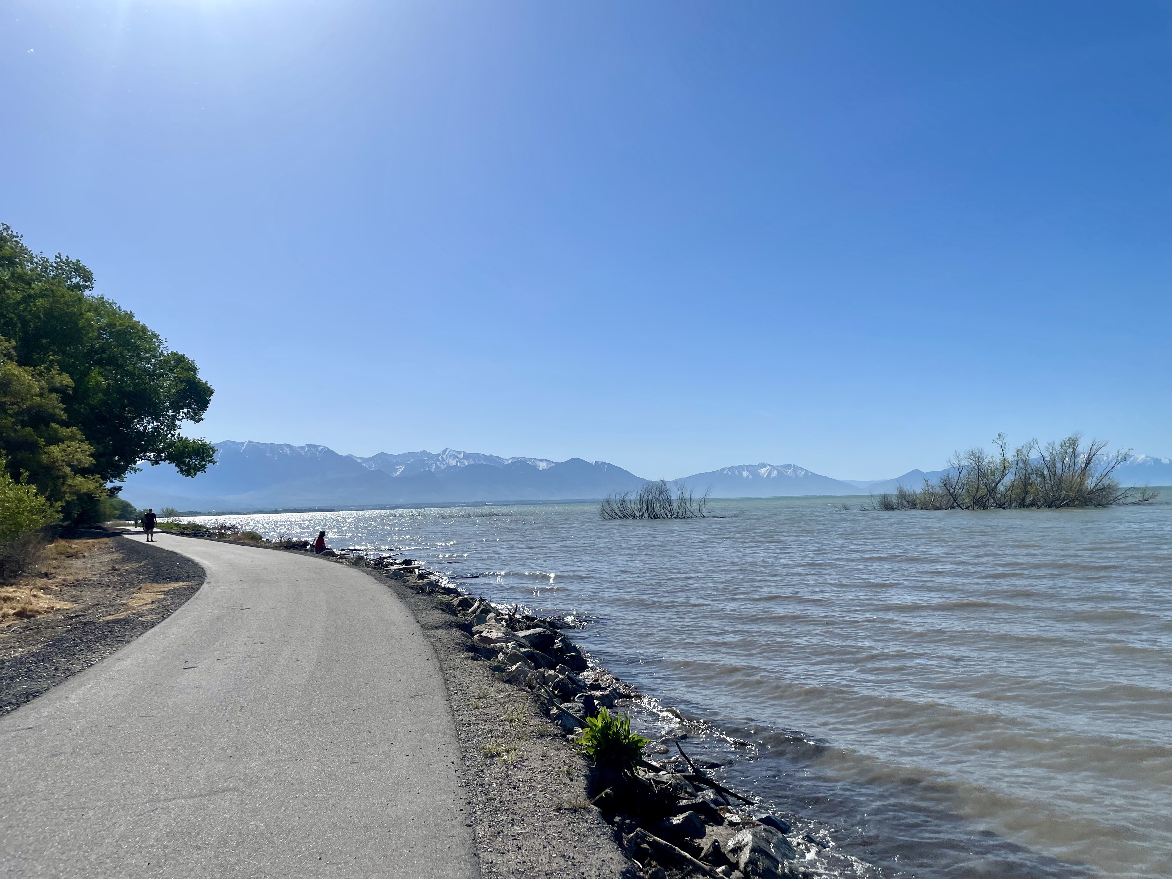 Utah Lake Authority campaign hopes to educate public about harmful algal blooms