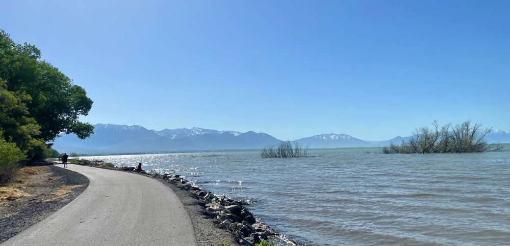 Utah Lake Authority campaign hopes to educate public about harmful algal blooms