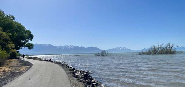 Utah Lake Authority campaign hopes to educate public about harmful algal blooms