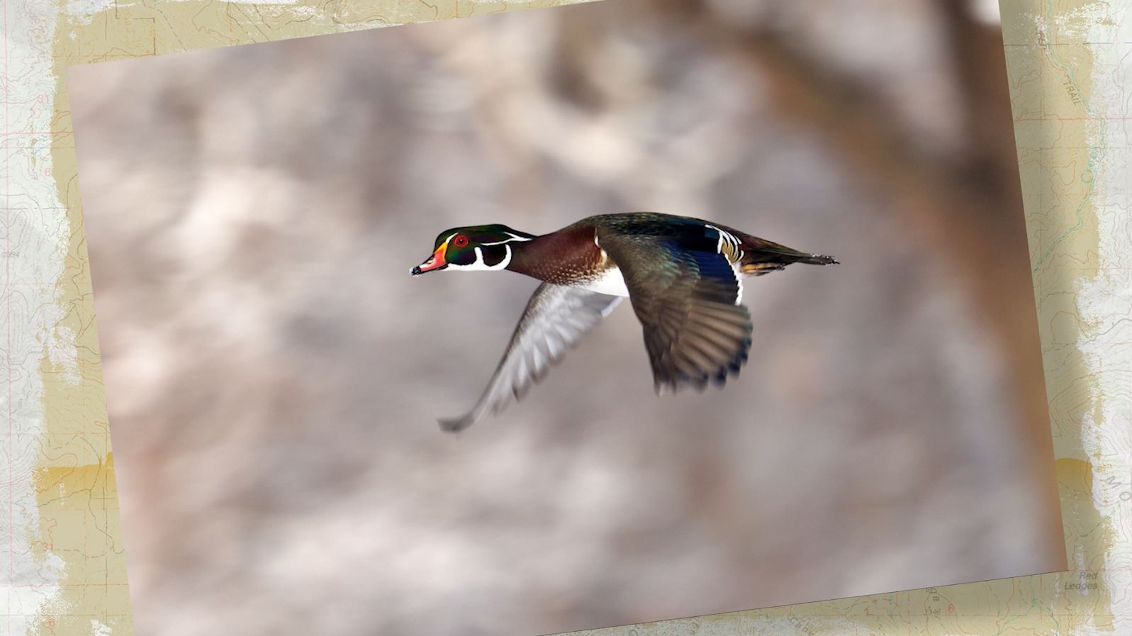 Snapshot of the Week: April 18, 2026