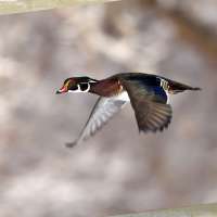 Snapshot of the Week: April 18, 2026