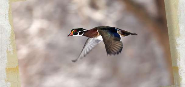 Snapshot of the Week: April 18, 2026