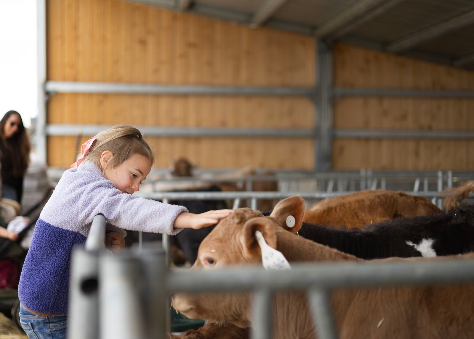 Have you ever wanted to visit Ballerina Farm? Now's your chance