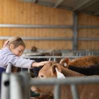 Have you ever wanted to visit Ballerina Farm? Now's your chance