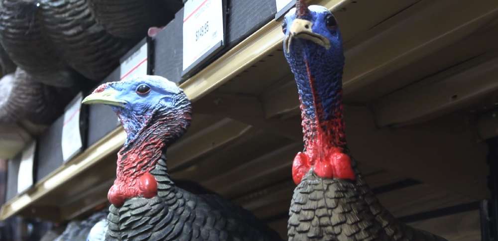 Must-Have Gear for Turkey Hunting | Scheels Outdoor Tip