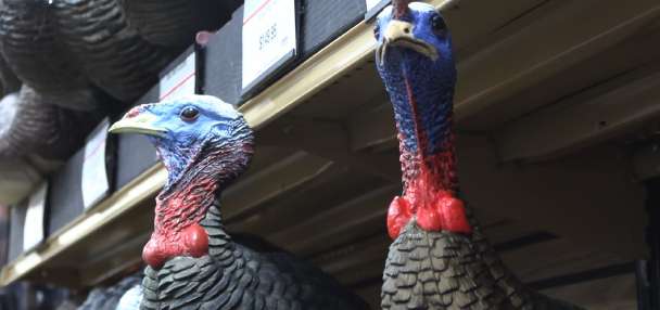 Must-Have Gear for Turkey Hunting | Scheels Outdoor Tip