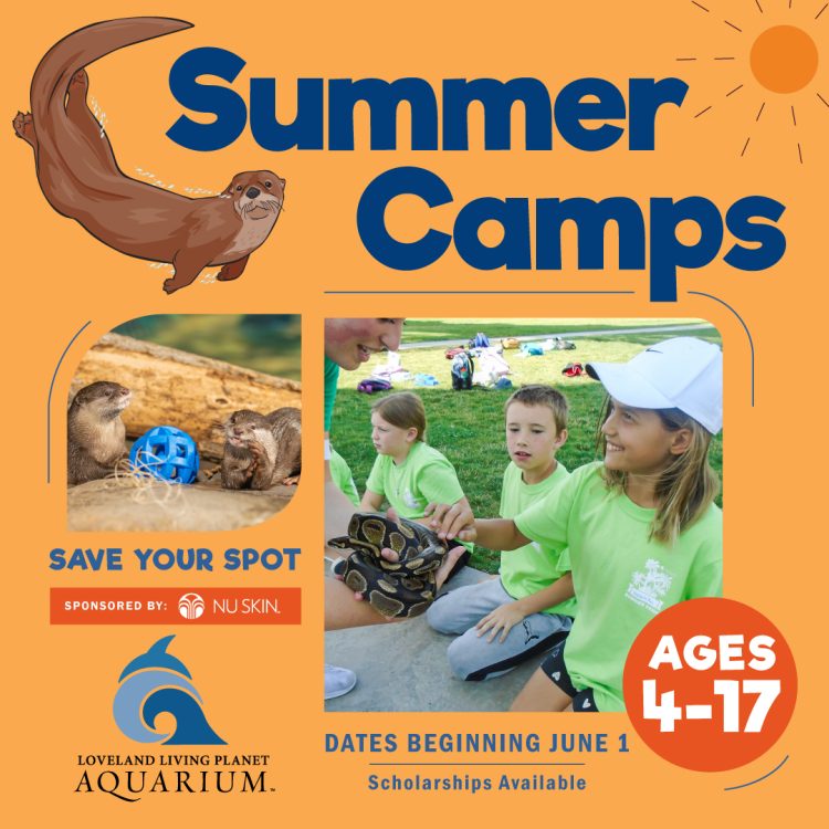 Summer Camps
