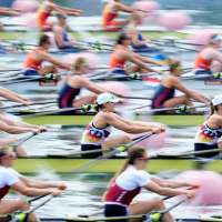Crikey! Australia's 2032 Olympic organizers want rowers to compete in a crocodile-infested river