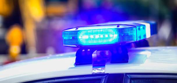 Pair of K-9s help find missing woman who fell 200 feet down ravine