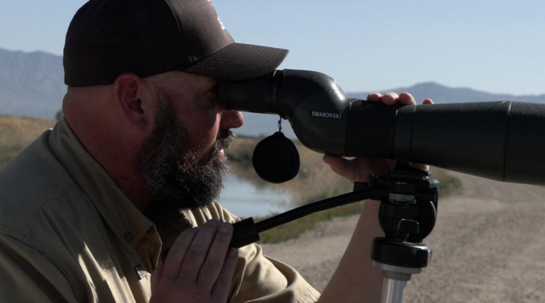 More migratory birds flock to Great Salt Lake as other saline lakes decline