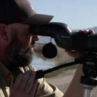 More migratory birds flock to Great Salt Lake as other saline lakes decline