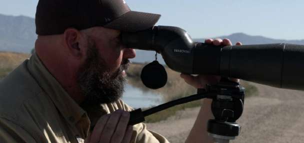 More migratory birds flock to Great Salt Lake as other saline lakes decline