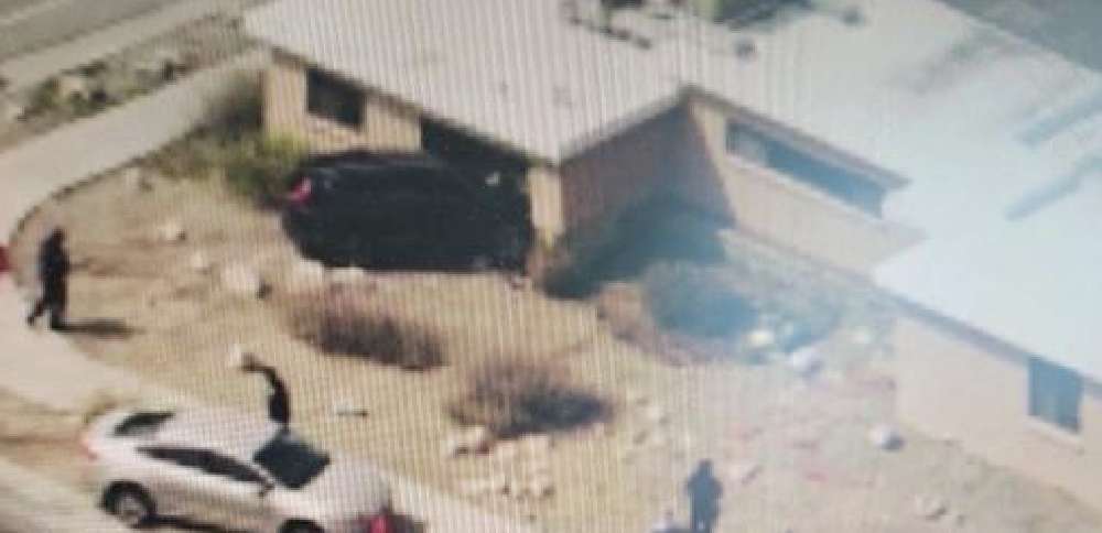 Car crashes into Utah Animal Adoption Center in Sandy