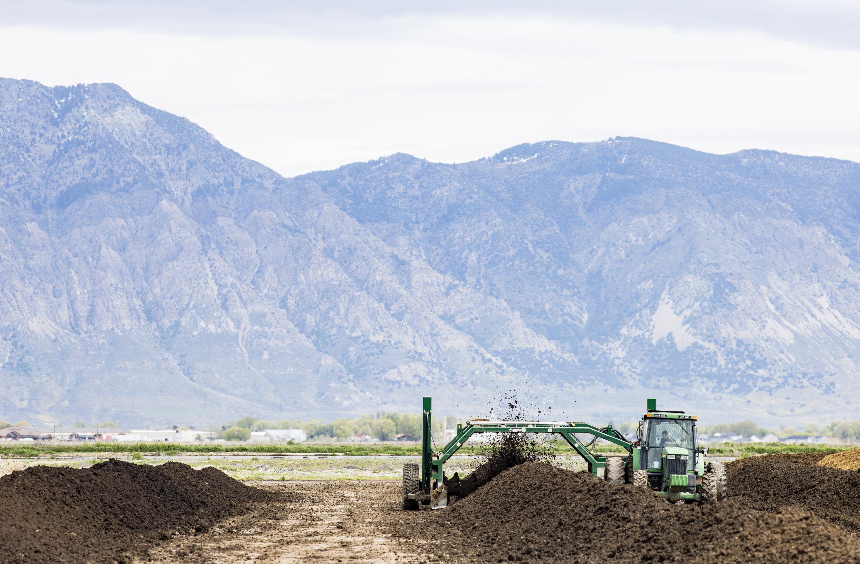 The sustainability secret: Cows keep waste out of landfills?