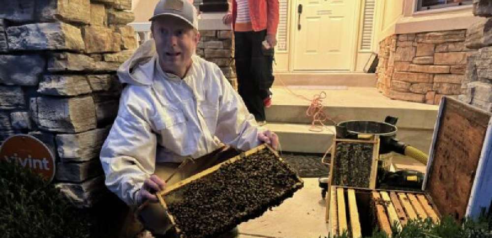 Kaysville homeowner surprised by swarm of 30,000 bees