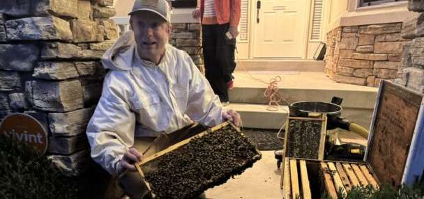 Kaysville homeowner surprised by swarm of 30,000 bees