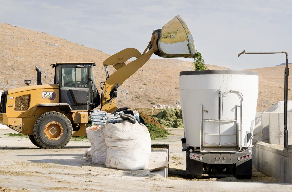 Making the cows’ feed ration at Bateman Mosida Dairy