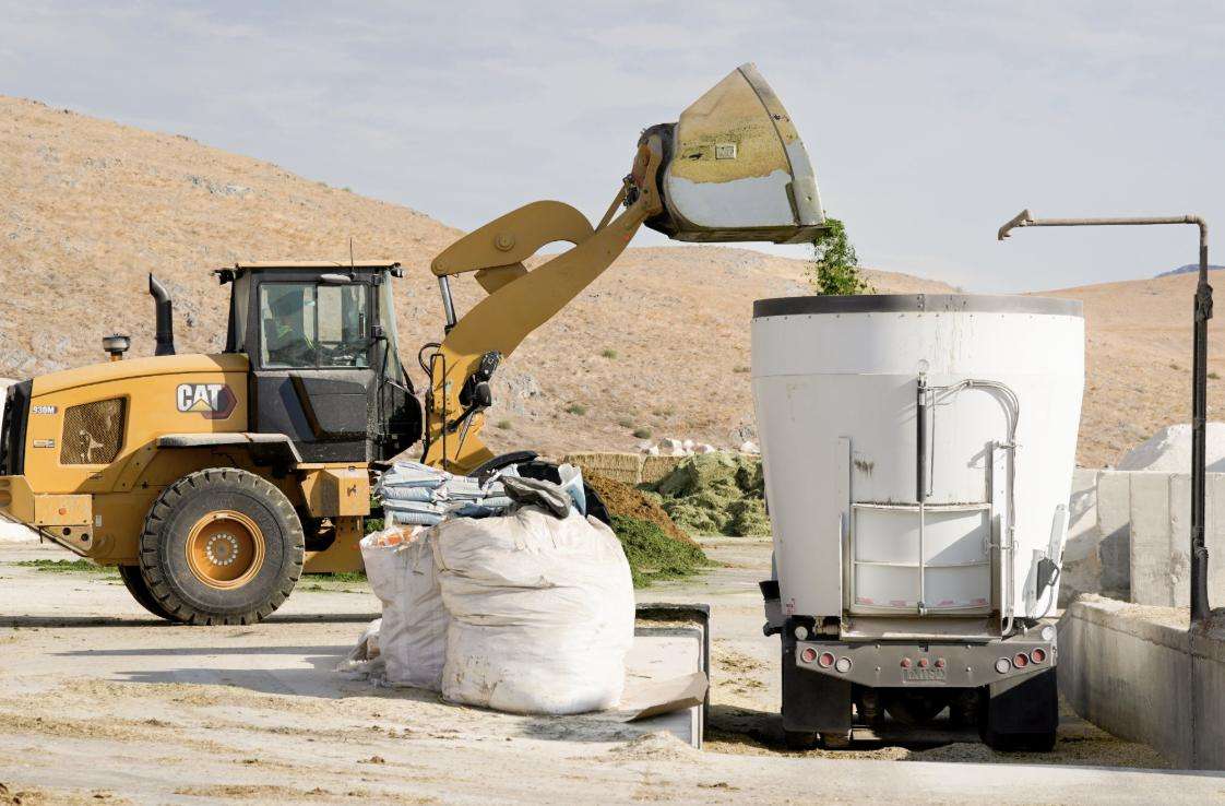 Making the cows’ feed ration at Bateman Mosida Dairy