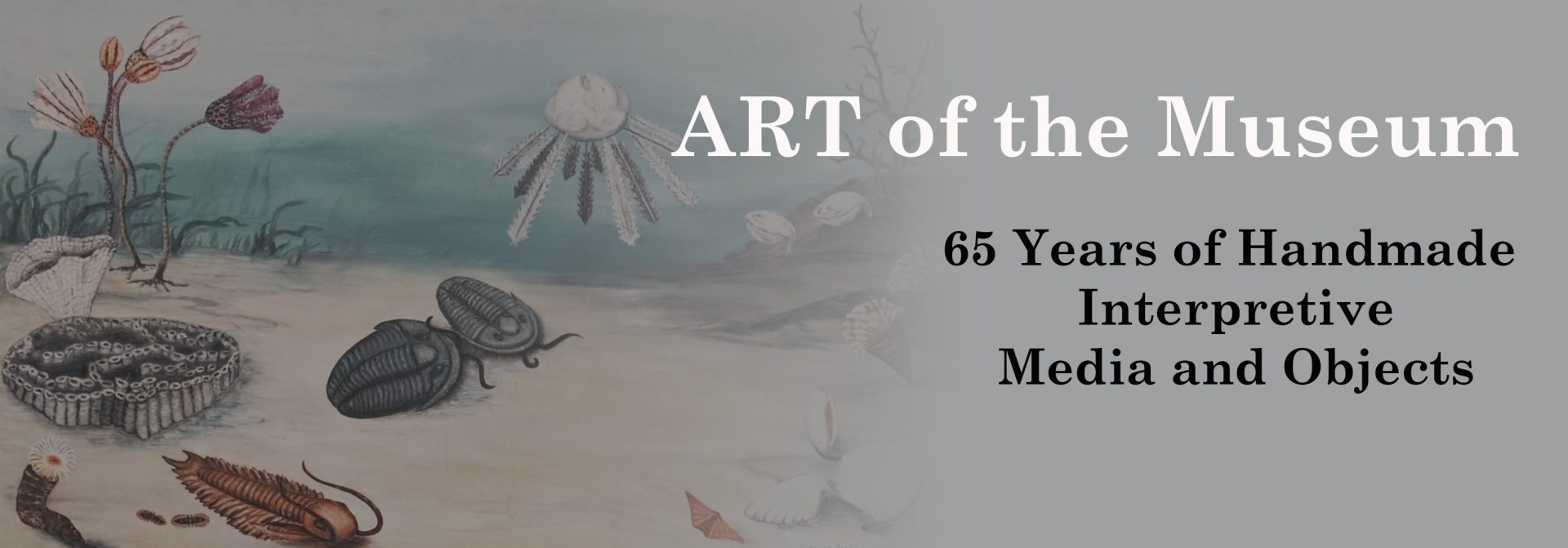 ART of the Prehistoric Museum