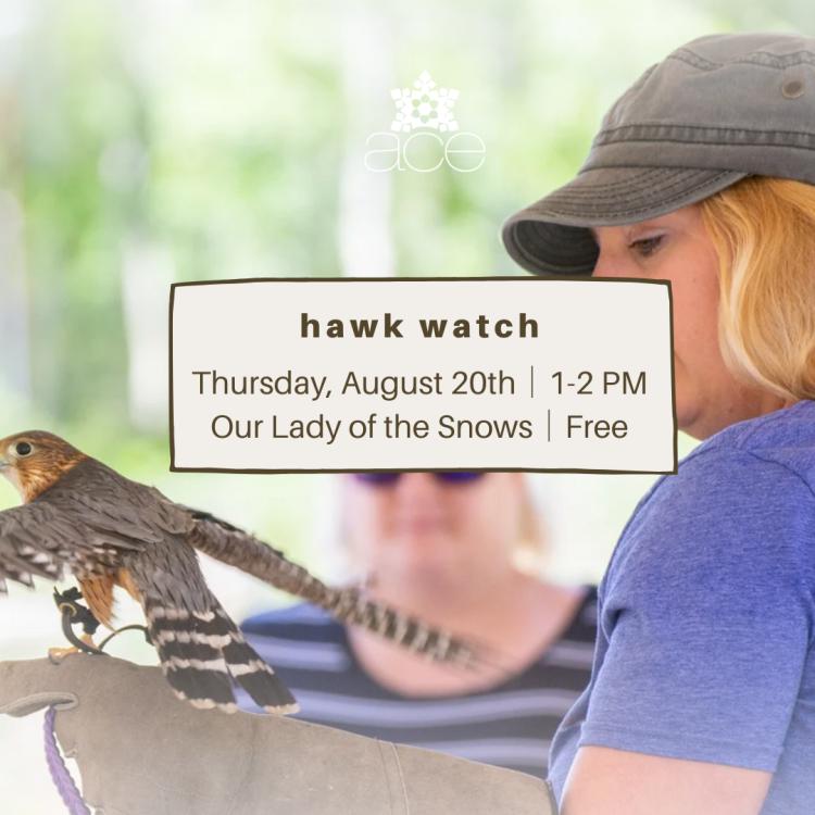 Hawkwatch Bird of Prey Show