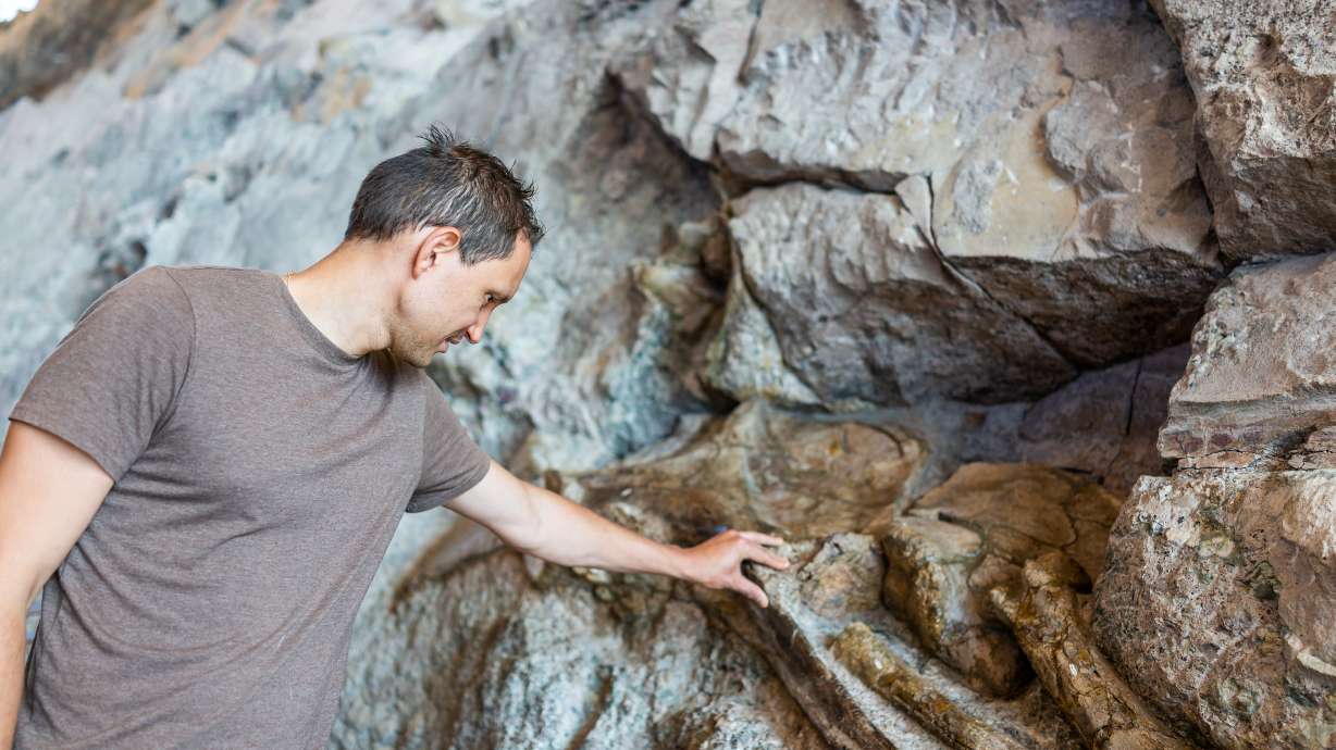 Quarry visitor center exhibit hall in Dinosaur National Monument Park.