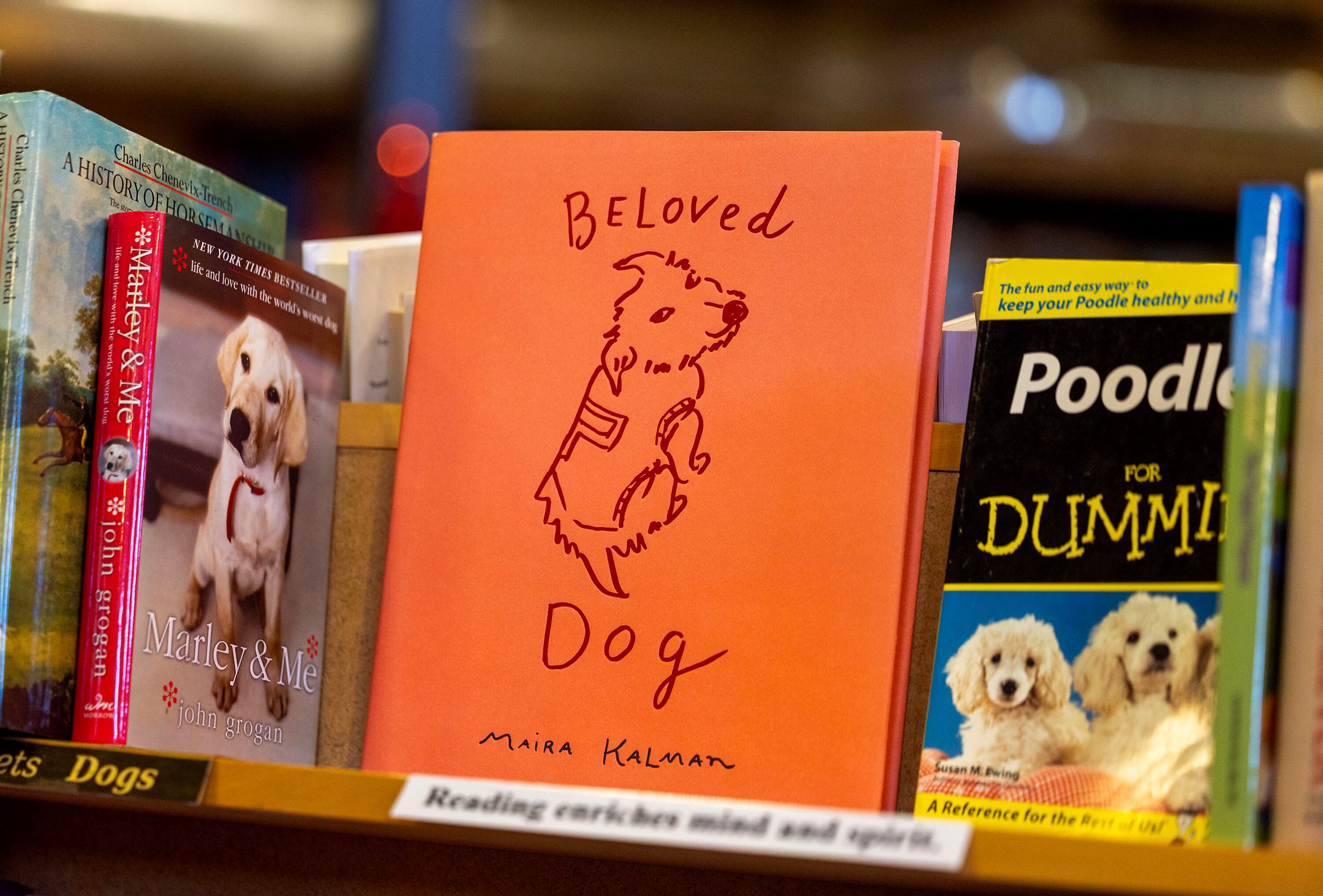 Books are seen at Weller Book Works in Salt Lake City on Wednesday.