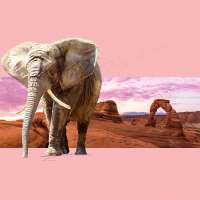 Redistricting reshapes the battlefield as Maloy, Lyman spar over how to rebuild trust in Congress