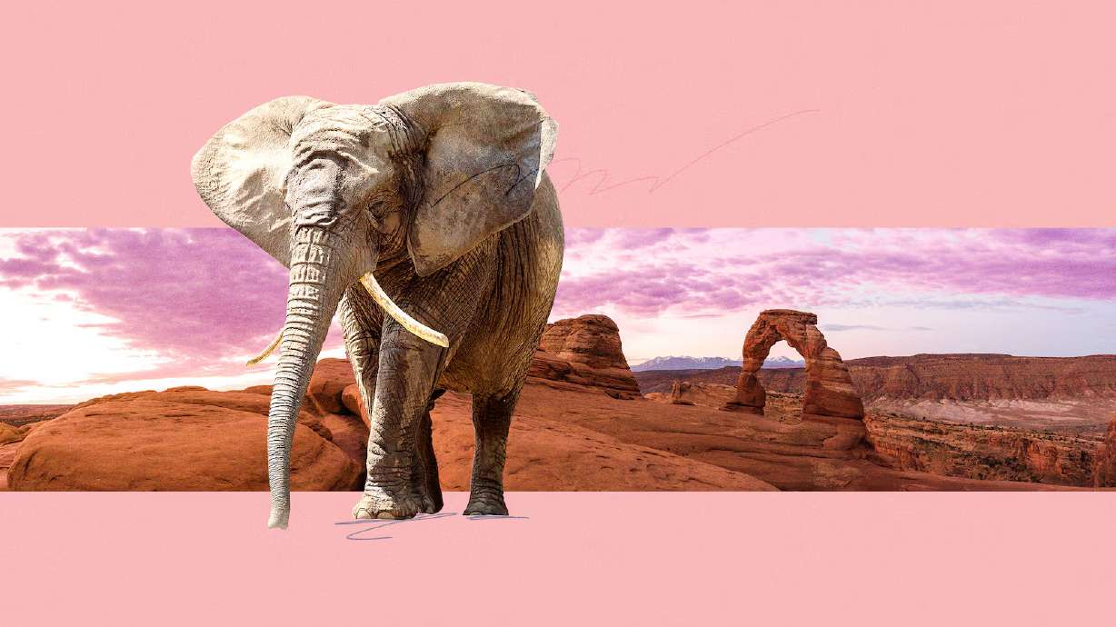 Rep. Celeste Maloy is facing attacks from Phil Lyman, who has built a loyal following by attacking the state’s election system and top elected leaders.