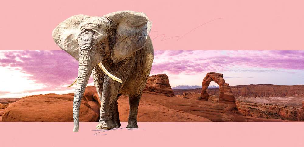 Redistricting reshapes the battlefield as Maloy, Lyman spar over how to rebuild trust in Congress