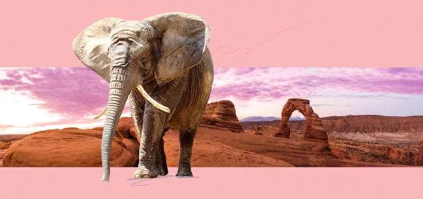 Redistricting reshapes the battlefield as Maloy, Lyman spar over how to rebuild trust in Congress