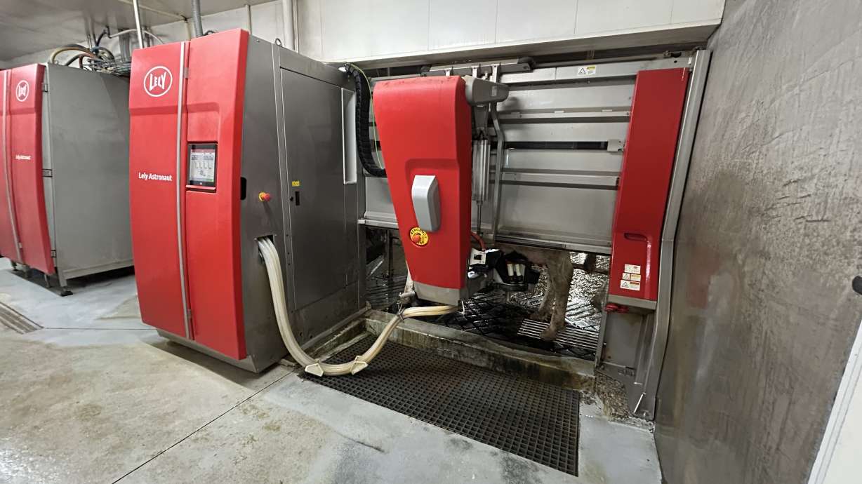 Robots milking cows? How this family farm is using technology to care for cows and the future