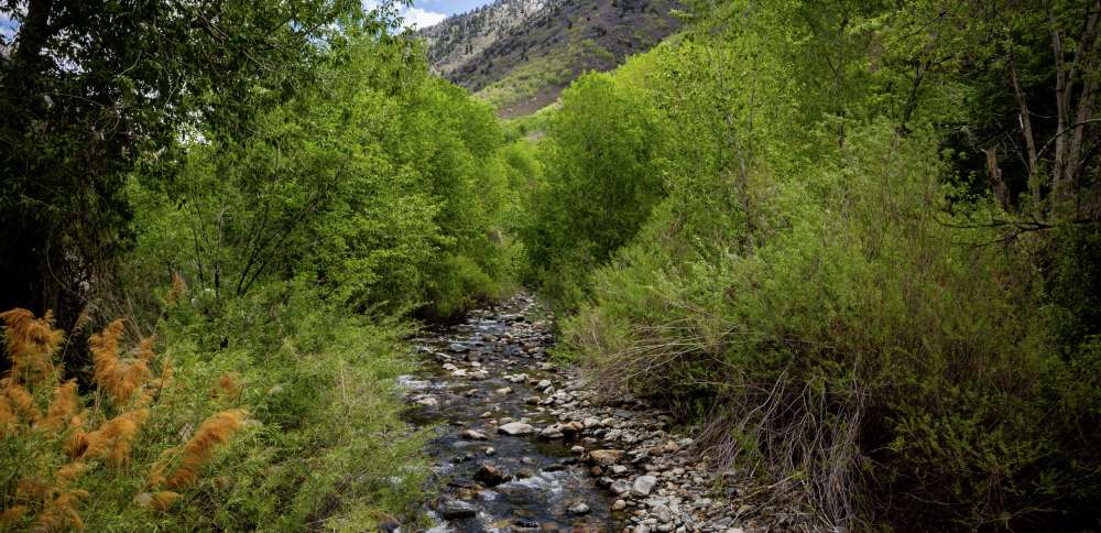 The 'no-pack' fallout: Utah leaders brace for impact from record-low snowpack