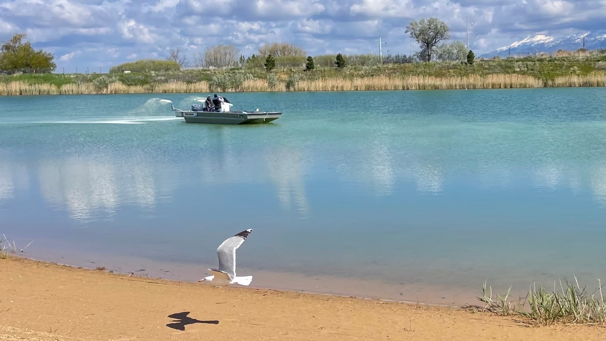 Amid growing algal bloom issue, officials hope Willard Peak Pond treatment offers way forward