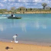 Amid growing algal bloom issue, officials hope Willard Peak Pond treatment offers way forward