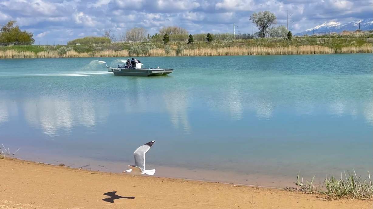 As algal bloom issues expand around Utah, officials hope a possible fix at Willard Peak Pond offers a way forward. A boat treats the pond on Tuesday at an event to unveil the effort.