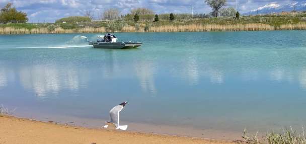 Amid growing algal bloom issue, officials hope Willard Peak Pond treatment offers way forward