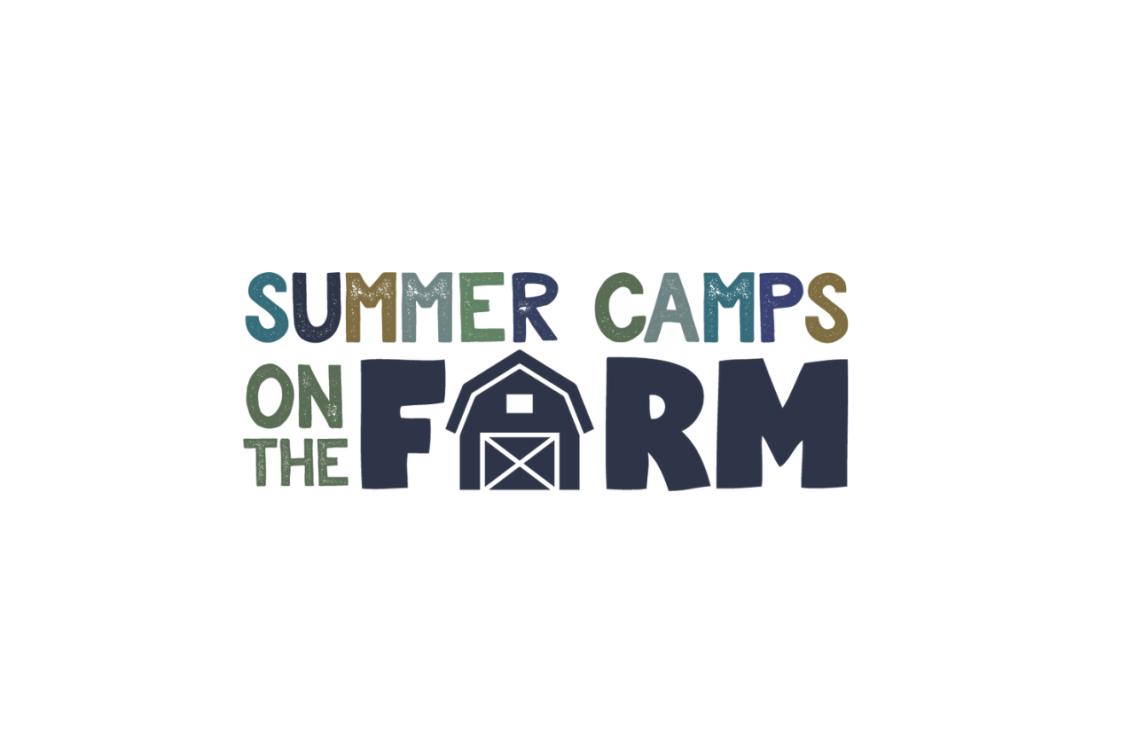 Hot Shots Summer Camp 2026