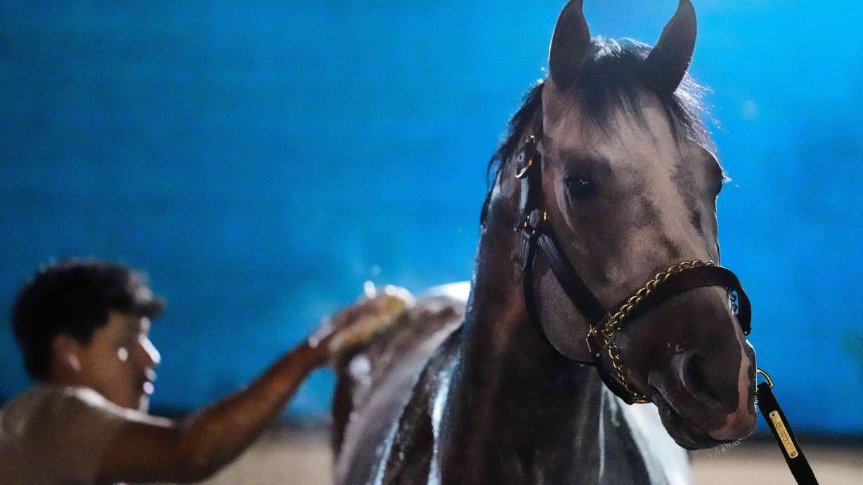 Kentucky Derby entrant Fulleffort gets a bath after a workout at Churchill Downs Monday, April 27, 2026, in Louisville, Ky.