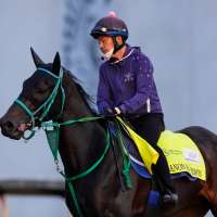 Horse racing in Japan is on the rise. A Kentucky Derby winner could be next
