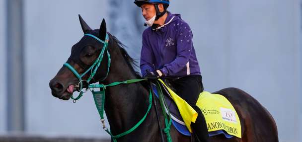 Horse racing in Japan is on the rise. A Kentucky Derby winner could be next