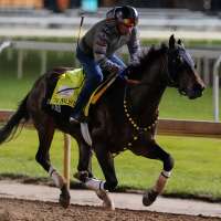 Robusta is in the Kentucky Derby field with Right to Party out