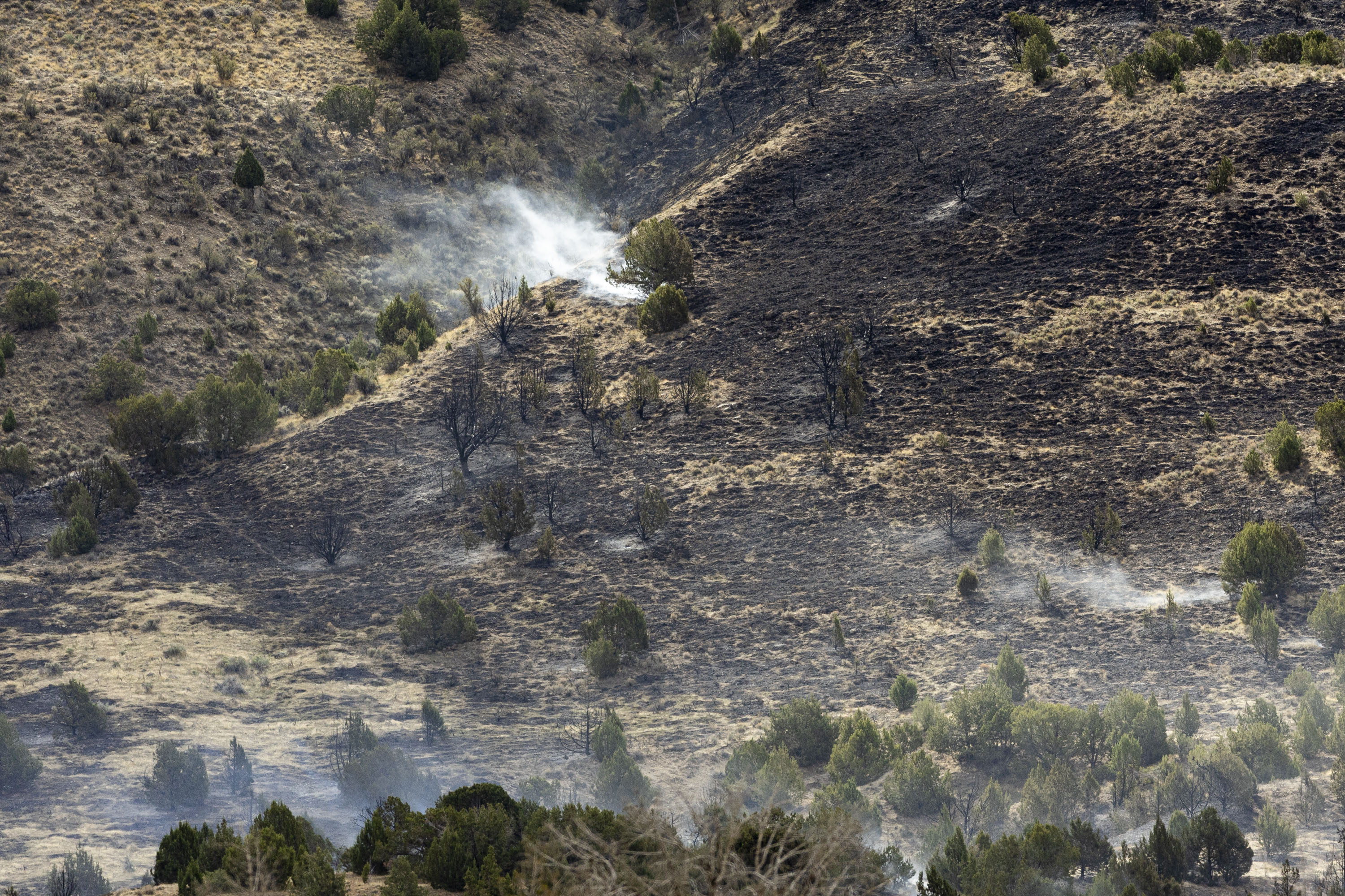 Utah's fire season is already here. Here's how El Niño could 'make or break' it