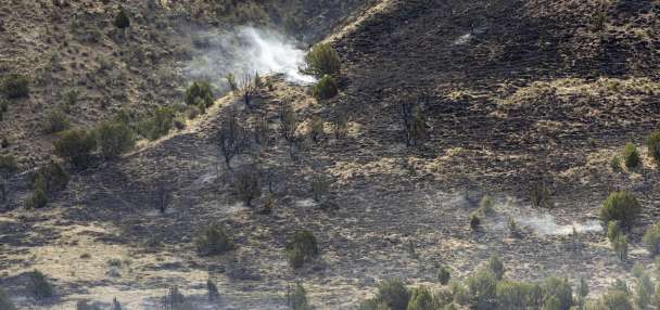 It's time to think about fire danger now, Cox says ahead of Memorial Day weekend