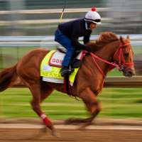 Kentucky Derby is down to 19 horses after The Puma gets scratched