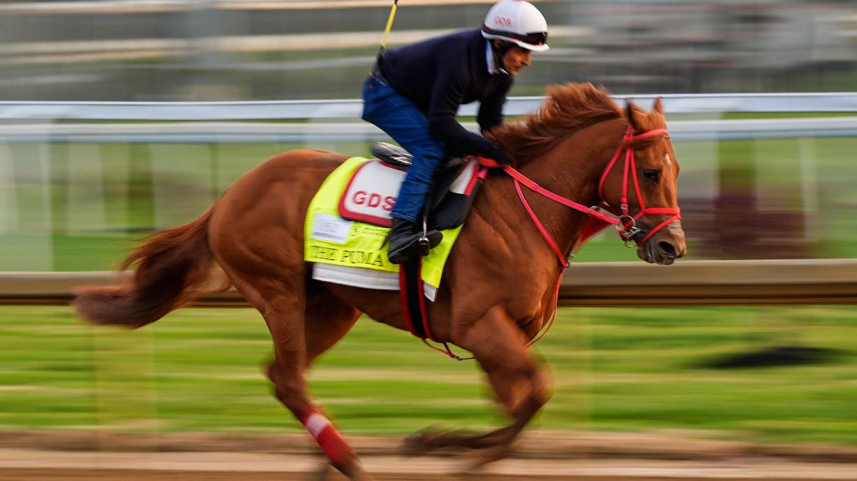 Kentucky Derby entrant The Puma works out at Churchill Downs Friday, May 1, 2026, in Louisville, Ky.