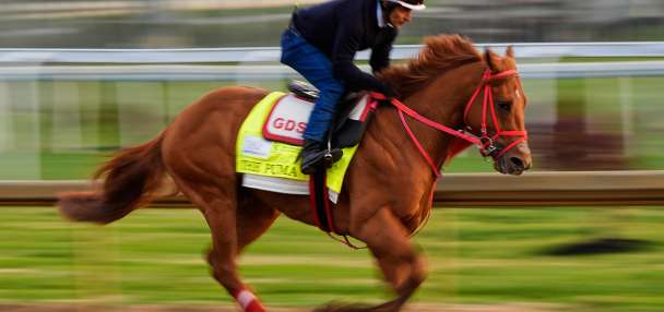 Kentucky Derby is down to 19 horses after The Puma gets scratched