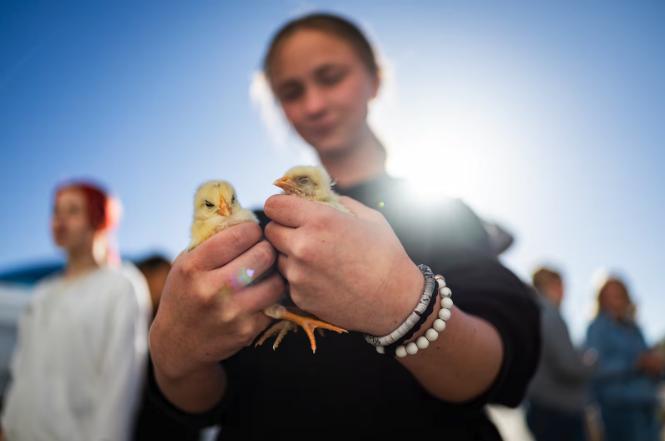 Getting their hands dirty: How Utah ag education is bridging the digital divide